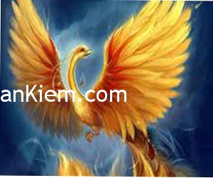 phuong hoang lua phuong hoang lua1 300x250 Tranh chim phượng hoàng đỏ