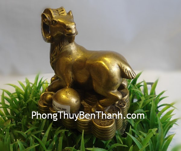 Vận may của tuổi Mùi trong năm