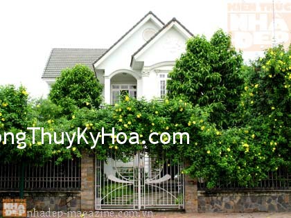 Cách để bán nhà nhanh