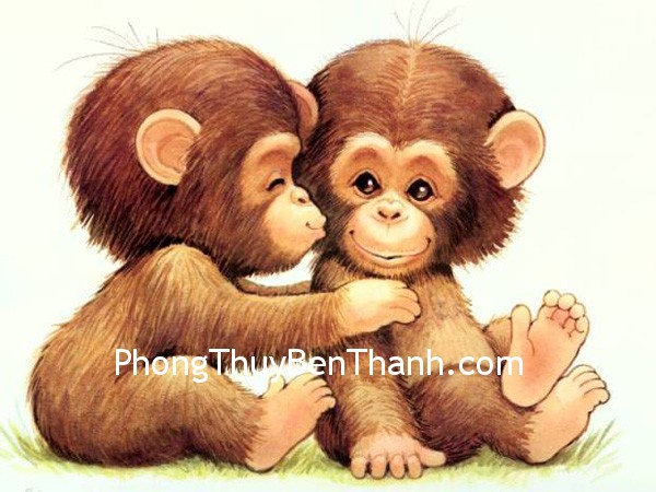 Vận may của tuổi Thân trong năm