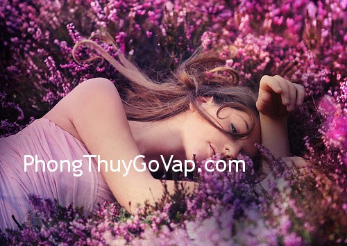 Bài trí phòng làm việc riêng (P.5)