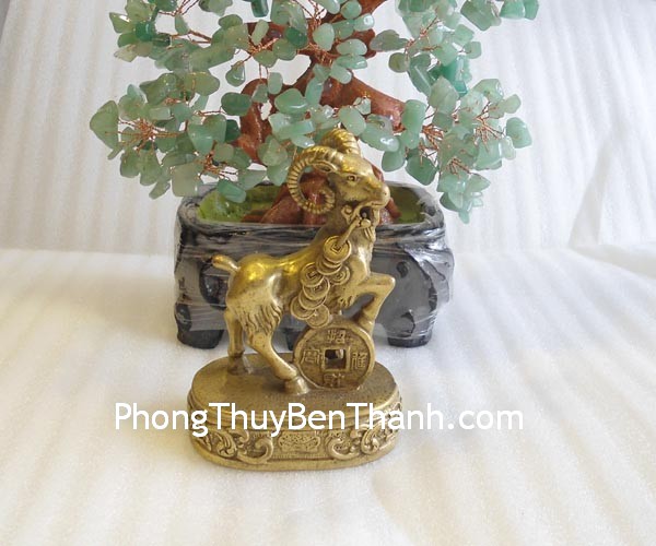 de-dong-dung-g242-2 de dong dung g242 2 Tuổi Mùi