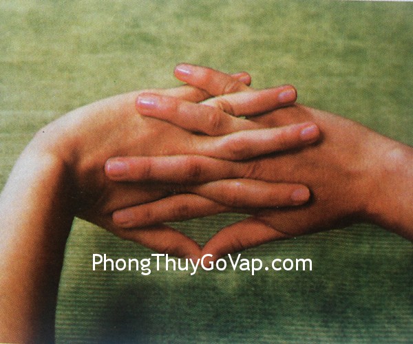 mat-xa-6.3 mat xa 6.3 Bài trí phòng làm việc riêng (P.6)
