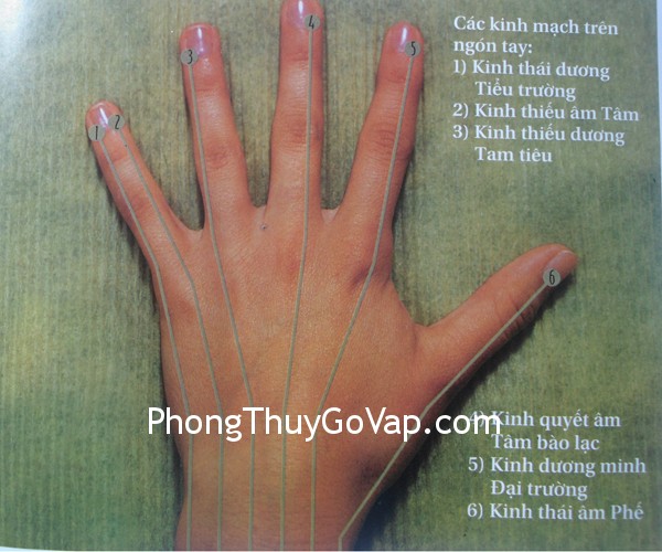 mat-xa mat xa Bài trí phòng làm việc riêng (P.6)