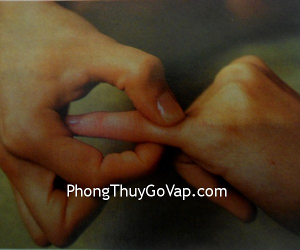 mat-xa-6.1 mat xa 6.1 Bài trí phòng làm việc riêng (P.6)