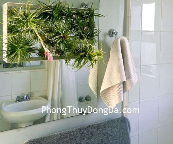 cay xanh 18 bí quyết giúp người sinh vào mùa đông tránh xa nghèo khó (P3)
