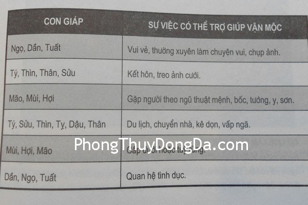 81 81 Con giáp tương ứng với hoạt động của mệnh thiếu Ngũ hành
