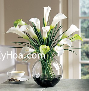 Cây cỏ có ảnh hưởng đến đời sống tình cảm không?
