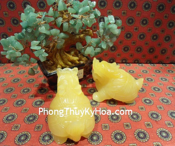 Rùa đầu rồng