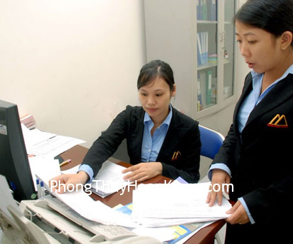 nhan_vien nhan vien Lựa chọn vị trí phòng tài vụ thế hợp với tọa hướng của công ty