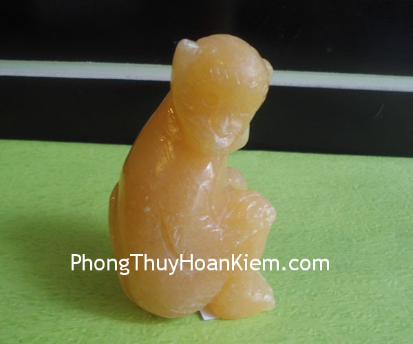 khi- da- hoang- long- M116- 02 khi da hoang long M116 02 Sự nghiệp của người tuổi thân (khỉ)