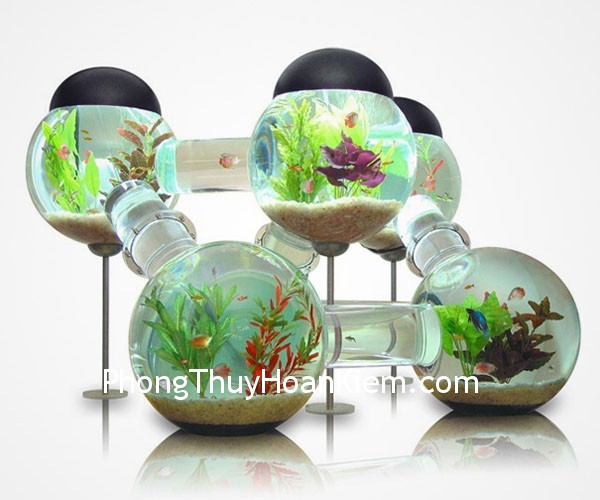 be- ca be ca Cung nghề nghiệp