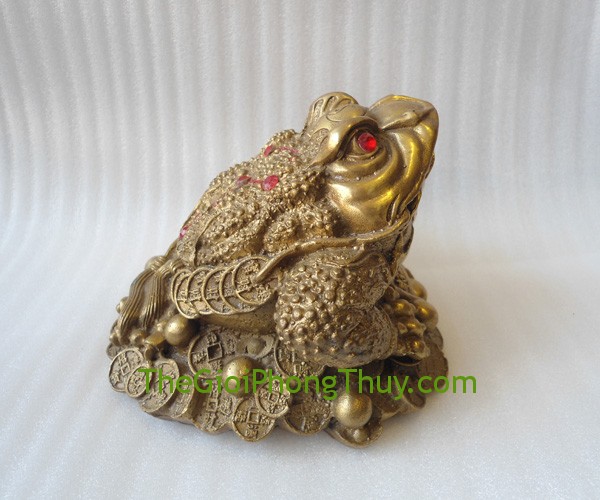Thiết kế danh thiếp theo phong thủy