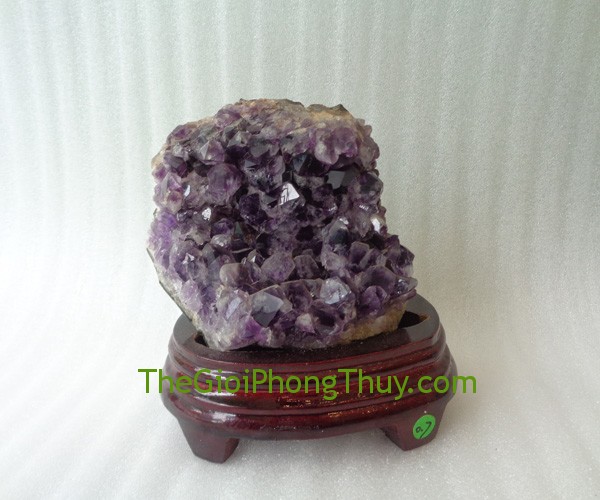 Con giáp tương ứng với hoạt động của mệnh thiếu Ngũ hành
