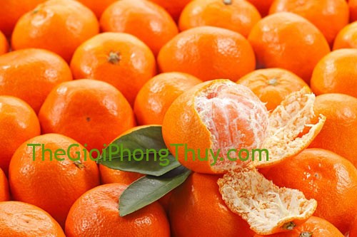 Giải mã giấc mơ thấy quả quýt