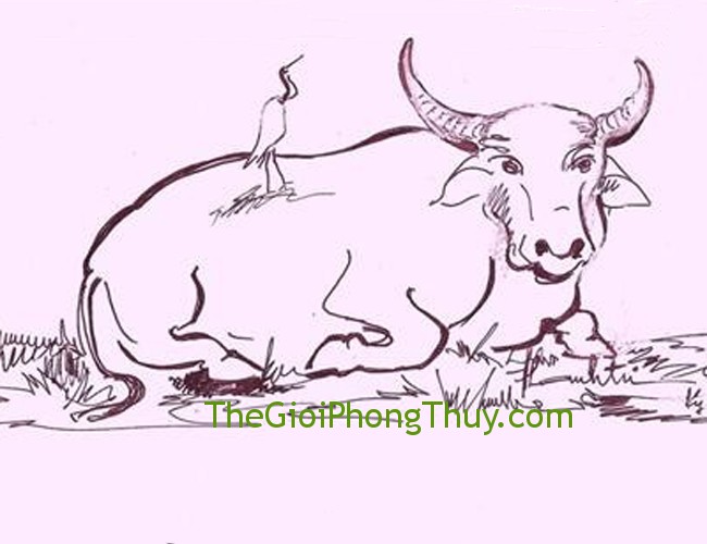 Mệnh cung người sinh năm 1985