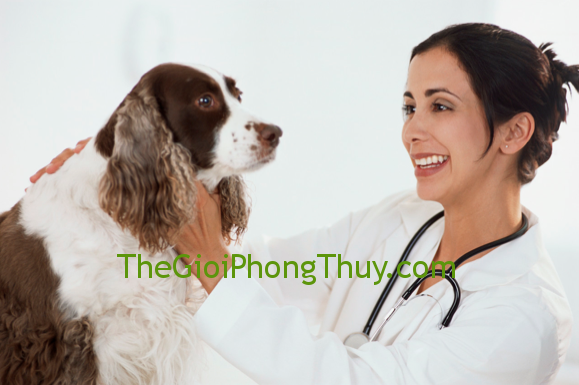 Mơ thấy bác sĩ tươi cười kiểm tra sức khỏe: Trình trạng sức khỏe tốt