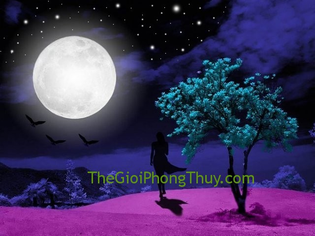 Mơ thấy mặt trăng: Tượng trưng tâm lý, tình yêu và tình cảm lãng mạn của con người