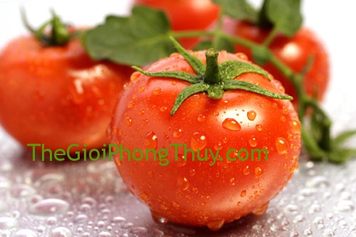 Giải mã giấc mơ thấy quả cà chua