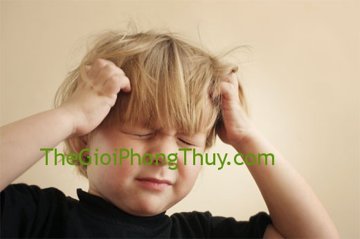 Bệnh hoa mắt muỗi bay với con sâu trong giấc mơ