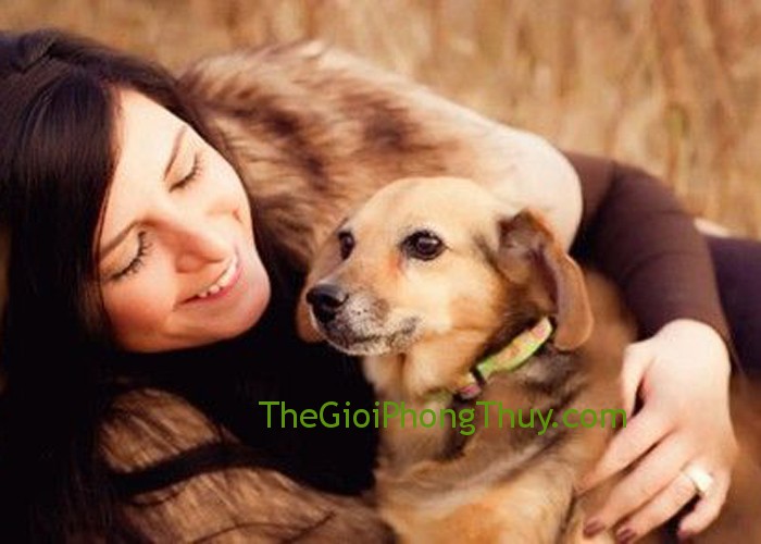 Giải mã giấc mơ thấy người và chó nô đùa thân thiết