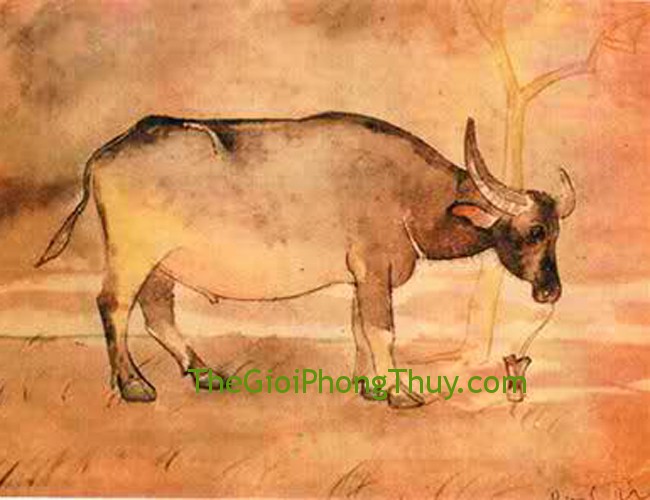 Mệnh cung người Kỷ Sửu năm 1949