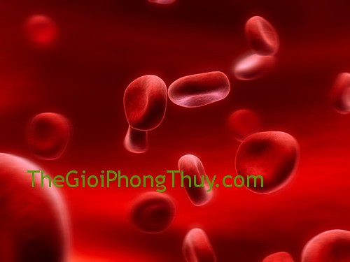 Tổn thất ngồn vốn với giấc thấy máu