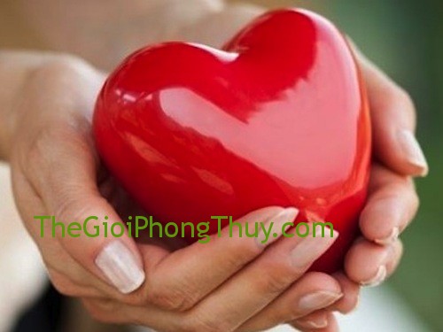 Giải mã giấc mơ thấy tim