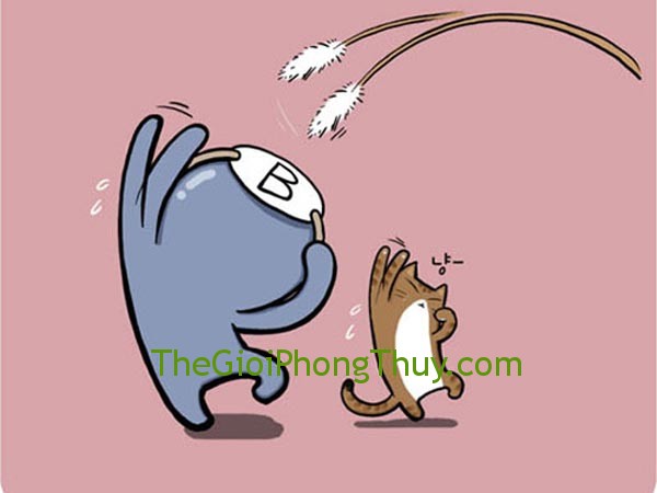 Cung bạch dương nhóm máu b