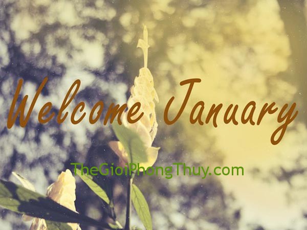 Năm Dậu và người sinh tháng Một