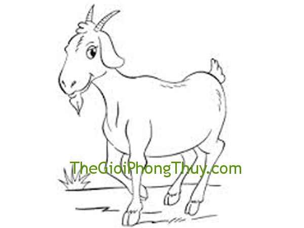 Tuổi Mùi và cách đặt tên