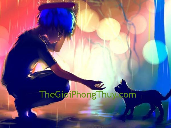 Tuổi dần cung bảo bình