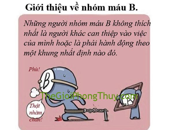Người nhóm máu B và những đặc điểm tính cách