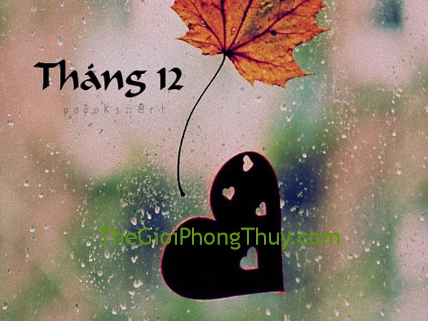 Năm Hợi và người sinh tháng Mười hai