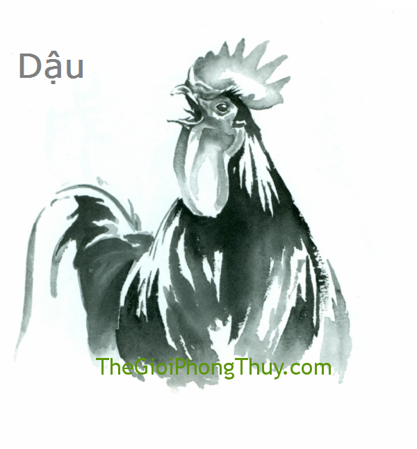 Đàn ông tuổi nào phụ nữ tuổi Dậu nên yêu