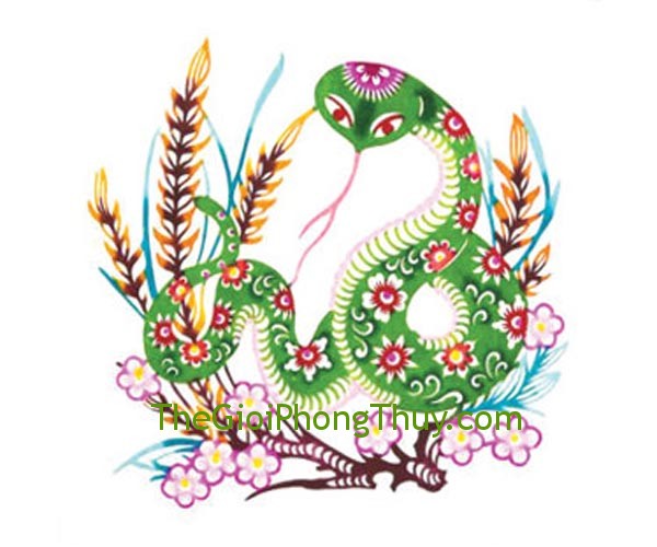 Đàn ông tuổi nào phụ nữ tuổi Tỵ nên yêu