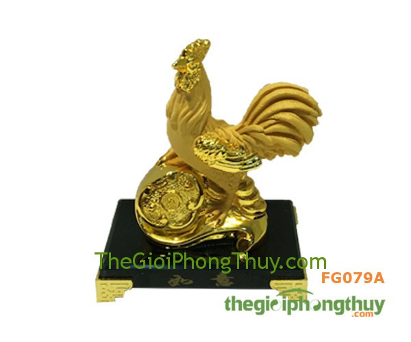 fg079a