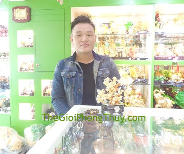 Anh Khoa - Khách hàng mua Cây tài lộc thạch anh vàng mini FKC047, Chuỗi tỳ hưu mắt mèo lớn FS6014