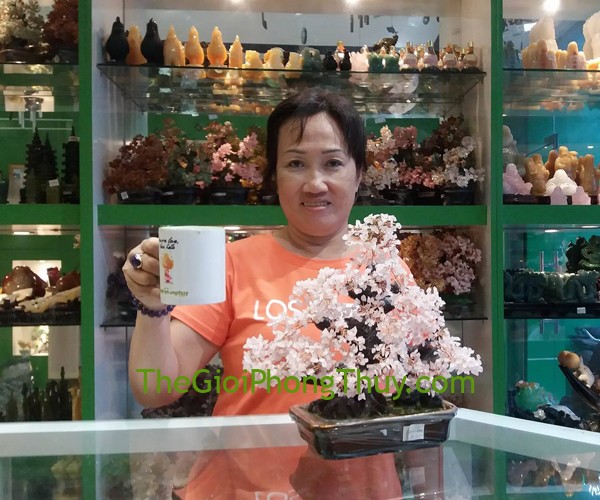 Cô Dung - Khách hàng mua Cây tài lộc kiểu mới pháo hoa thạch anh hồng FKC071.