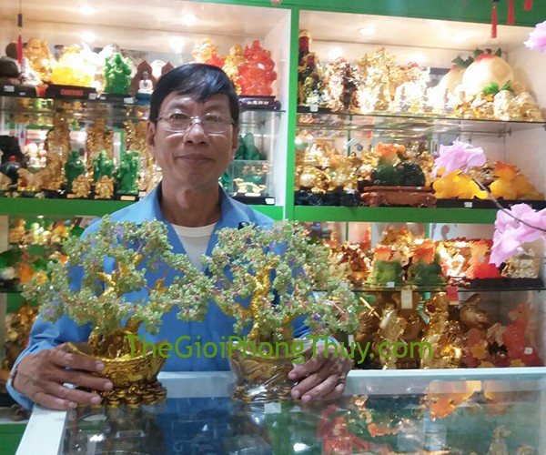 Chú Dũng - Khách hàng mua Cây tài lộc cẩm lảm đế nén vàng FKC075