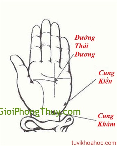 Đo mức độ giàu có thông qua đường chỉ tay phong thủy