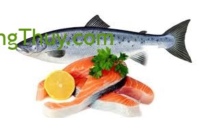 Nằm mơ thấy cá báo hiệu điều gì và con số may mắn nên đánh