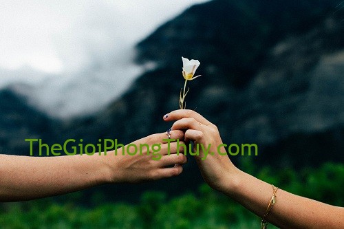 12 chòm sao ghét nhất là những hành vi, cử chỉ này