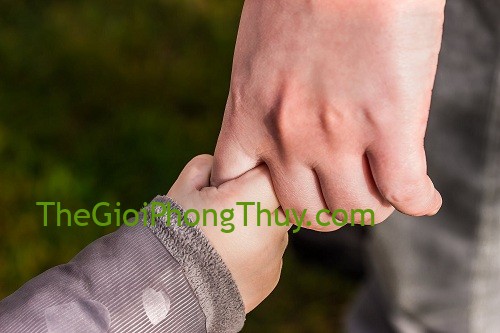 Quen được nuông chiều, 4 cung hoàng đạo này không muốn tự lập
