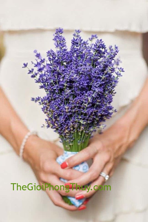 Truyền thống và hiện đại: Đâu là phong cách lễ cưới của các cung hoàng đạo?
