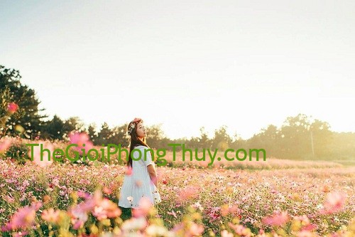 12 chòm sao nếu chưa thành công chứng tỏ chưa thay đổi được điều này