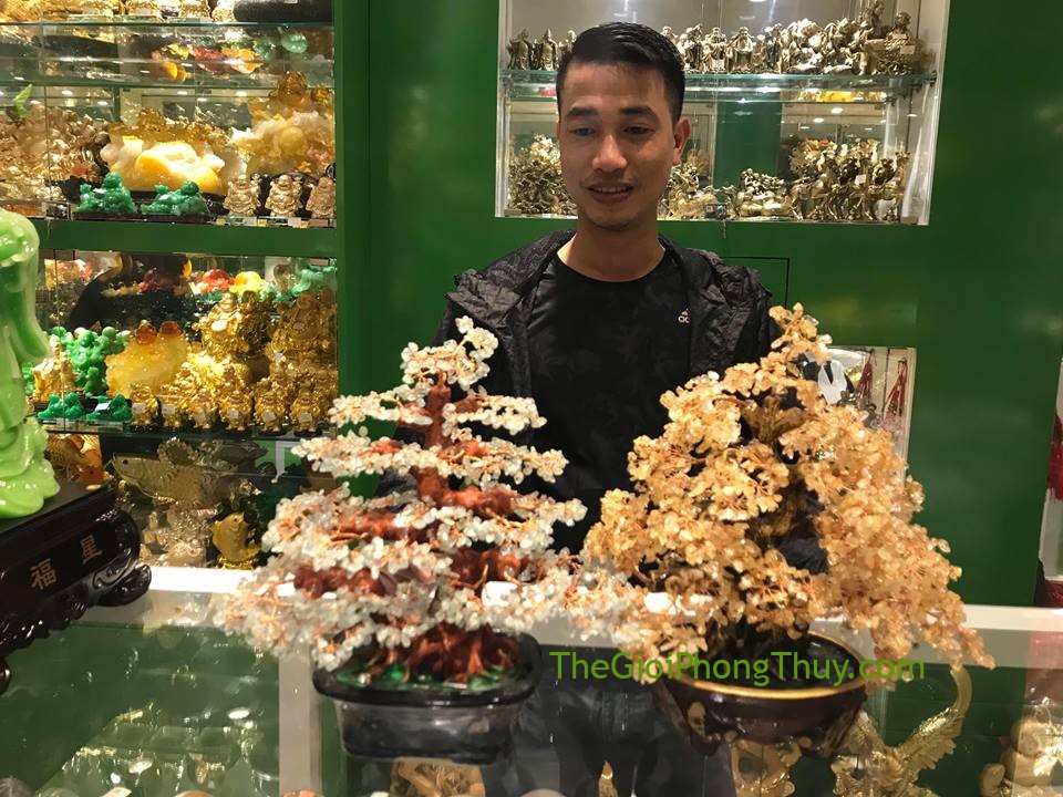 Anh Đẹp-Khách hàng mua Cây thạch anh vàng lớn hạt nhỏ thế kim tự tháp đế bầu tròn FKC103 và Cây tài lộc đá hải lam bảo FKC074.