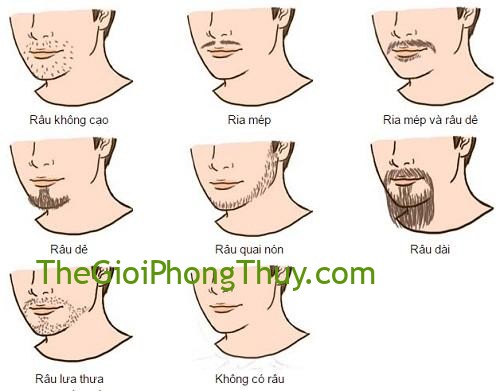 Cách để râu của đàn ông tiết lộ phần nào bản chất con người họ
