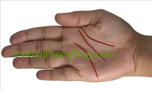 Đường chỉ tay vợ chồng có đặc điểm này gia đình hòa hợp, làm ăn thuận lợi