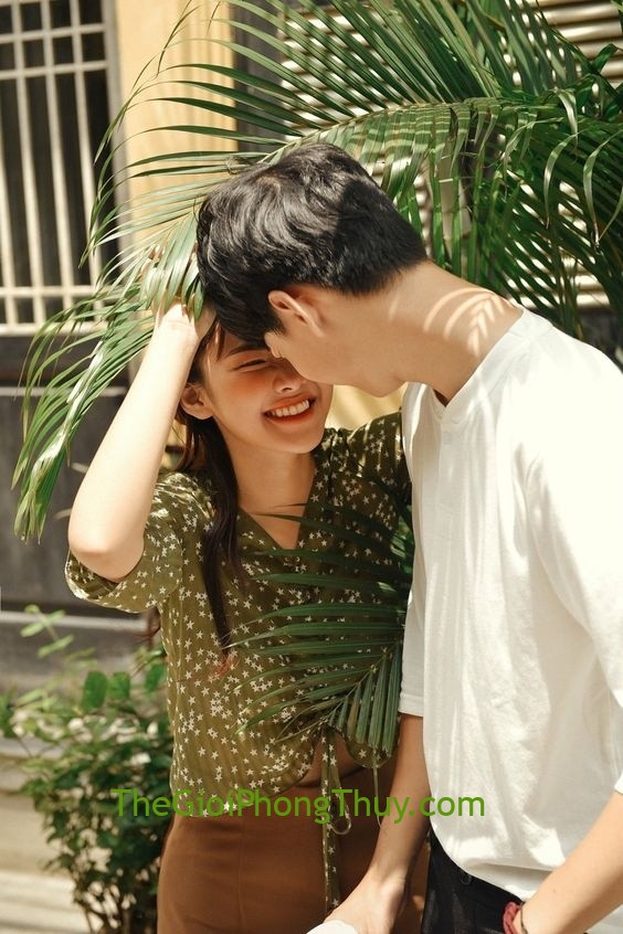 3 con giáp mà sánh duyên với tuổi dần thì gia đạo được vạn sự hưng thịnh
